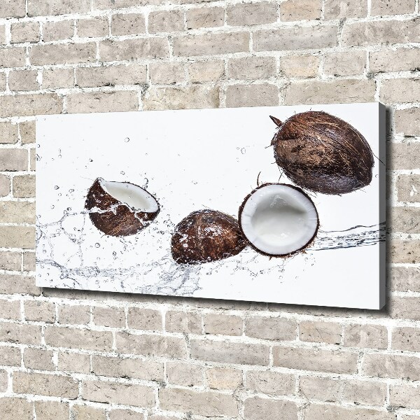 Canvas wall art Coconut with water