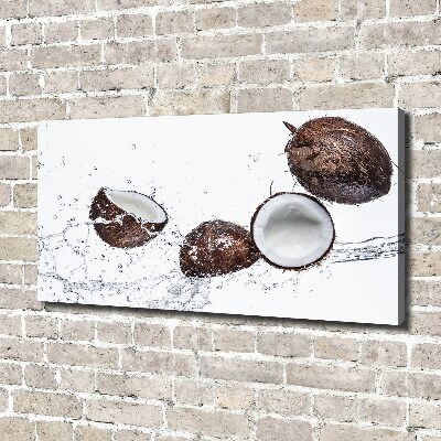 Canvas wall art Coconut with water