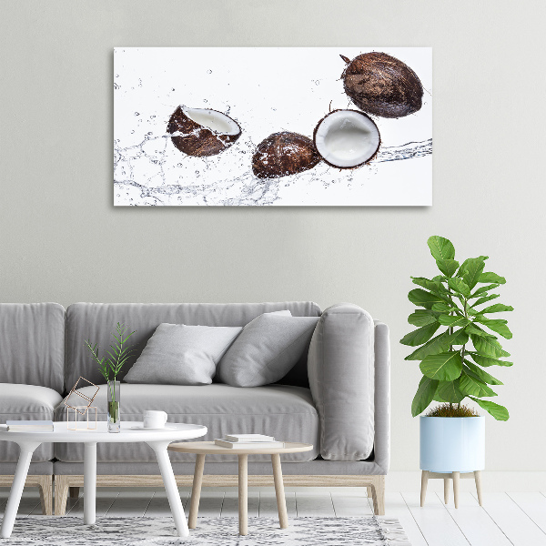 Canvas wall art Coconut with water