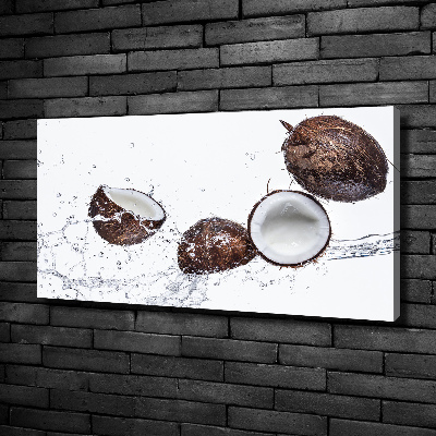 Canvas wall art Coconut with water