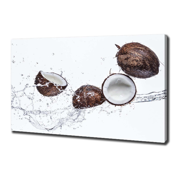 Canvas wall art Coconut with water