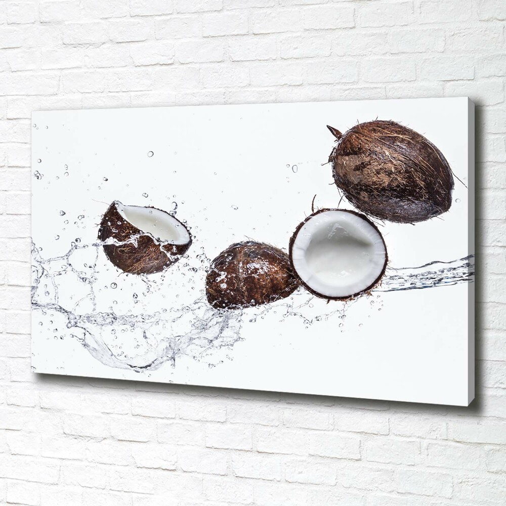 Canvas wall art Coconut with water