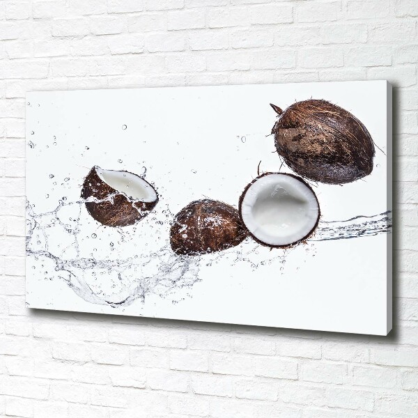 Canvas wall art Coconut with water