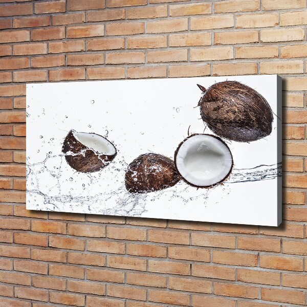 Canvas wall art Coconut with water