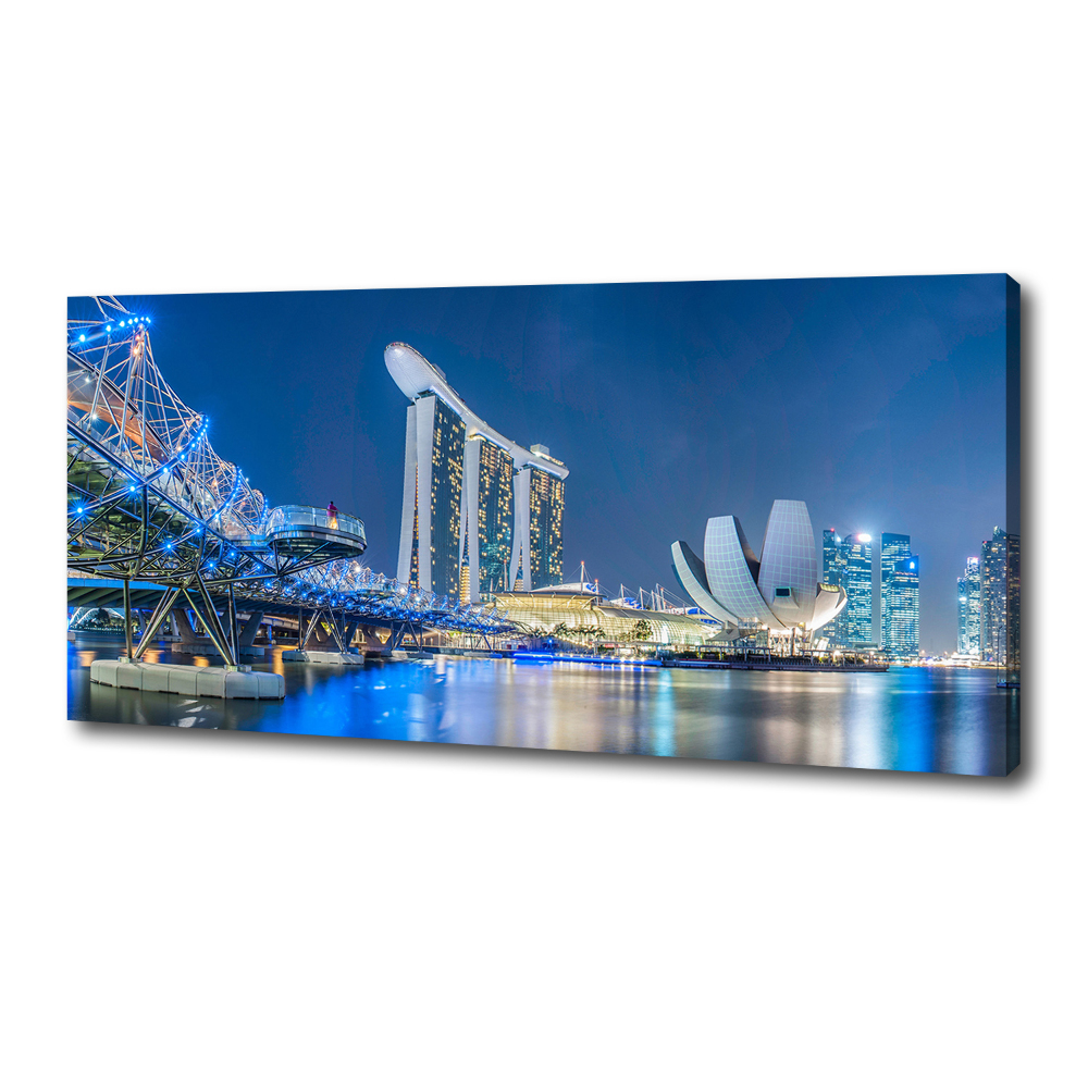 Canvas wall art Singapore at night