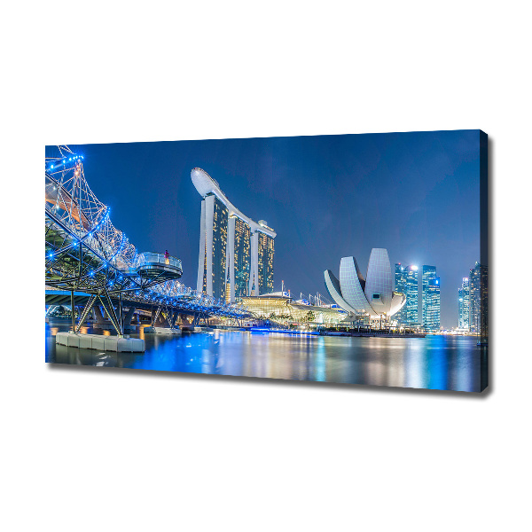 Canvas wall art Singapore at night