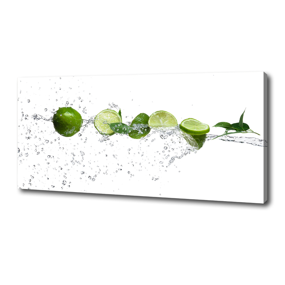 Canvas wall art Lime and water