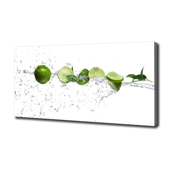 Canvas wall art Lime and water