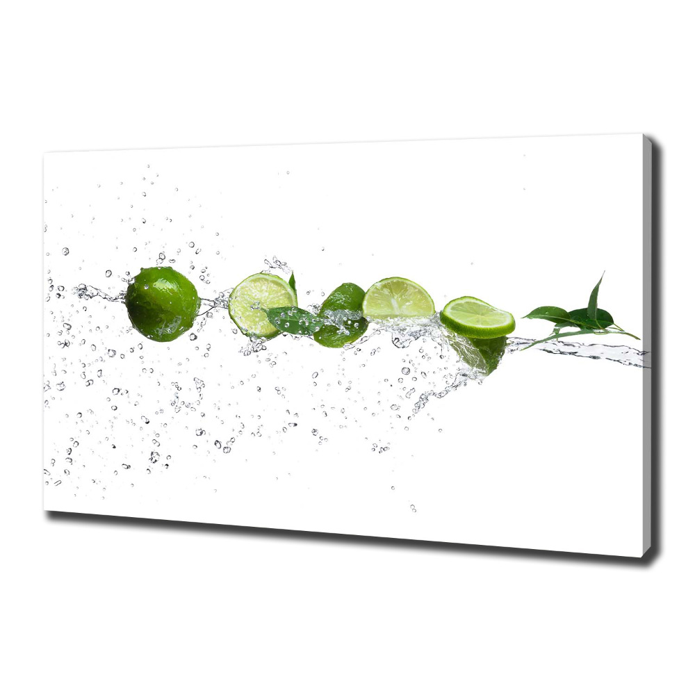 Canvas wall art Lime and water