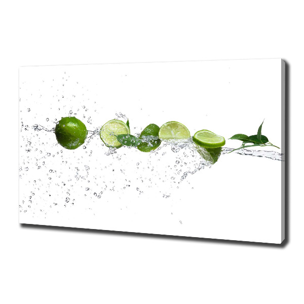 Canvas wall art Lime and water