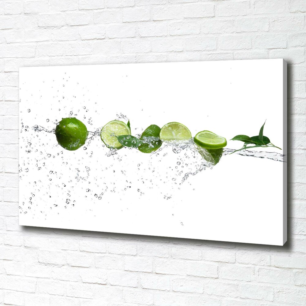 Canvas wall art Lime and water