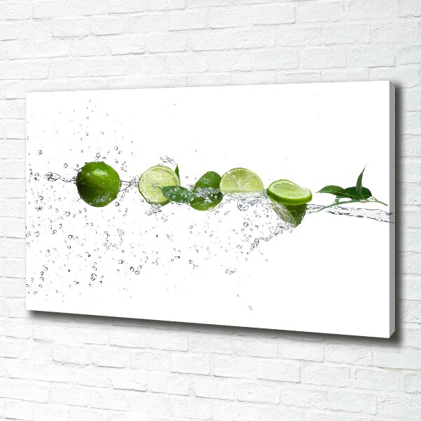 Canvas wall art Lime and water