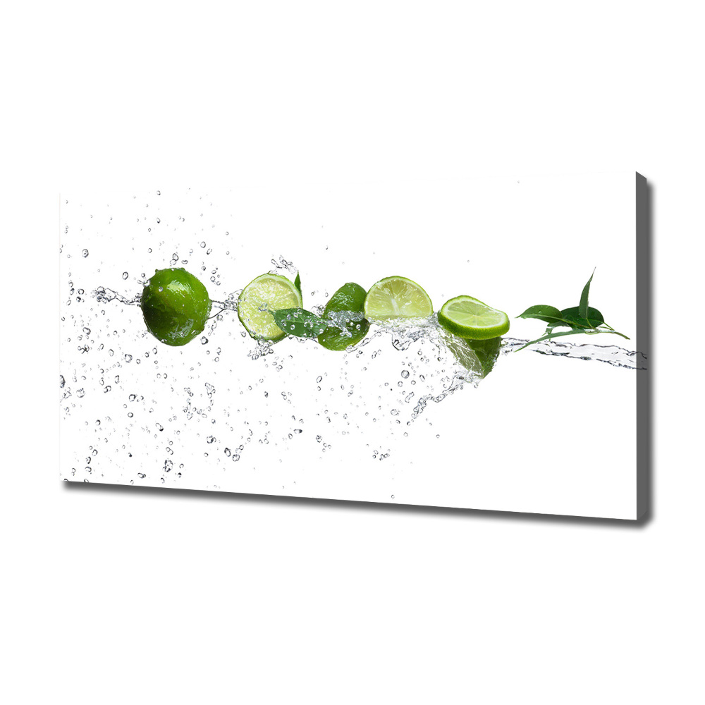 Canvas wall art Lime and water