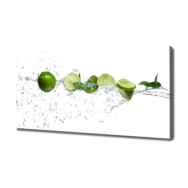 Canvas wall art Lime and water