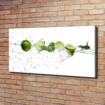 Canvas wall art Lime and water