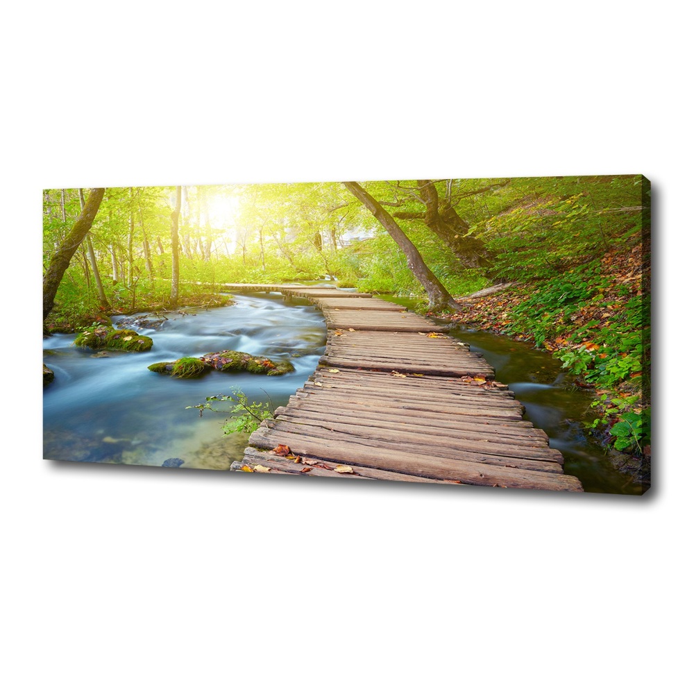 Canvas wall art Path in the forest