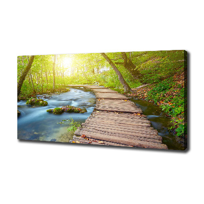 Canvas wall art Path in the forest