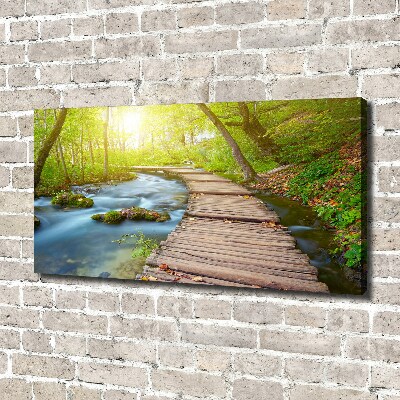 Canvas wall art Path in the forest