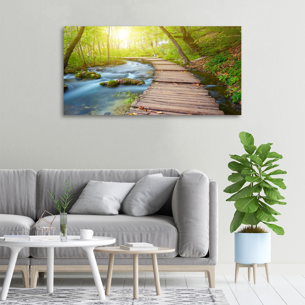 Canvas wall art Path in the forest