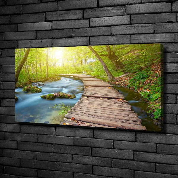 Canvas wall art Path in the forest