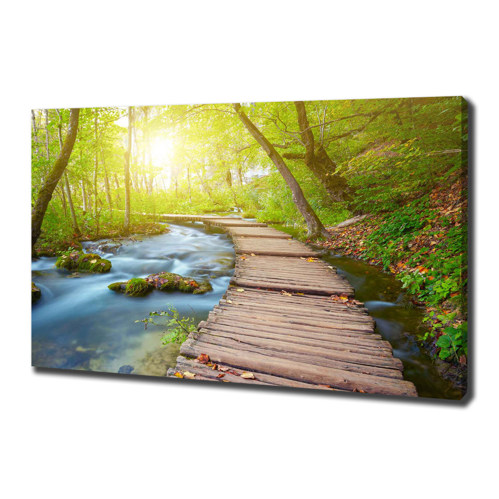 Canvas wall art Path in the forest