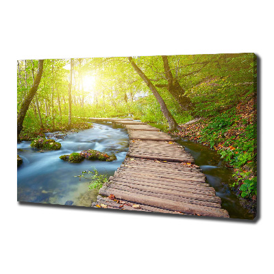 Canvas wall art Path in the forest