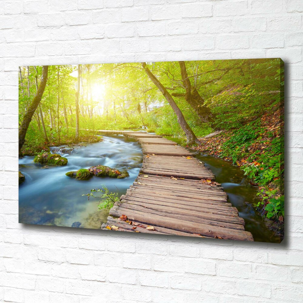 Canvas wall art Path in the forest