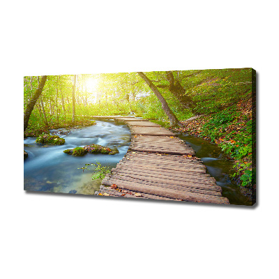 Canvas wall art Path in the forest