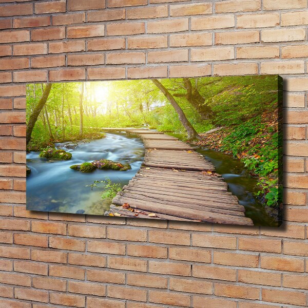 Canvas wall art Path in the forest