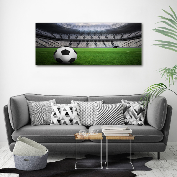 Canvas wall art Ball at the stadium