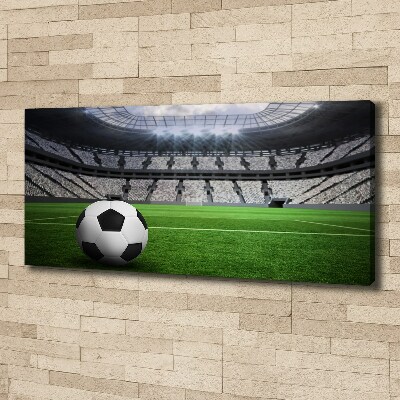 Canvas wall art Ball at the stadium