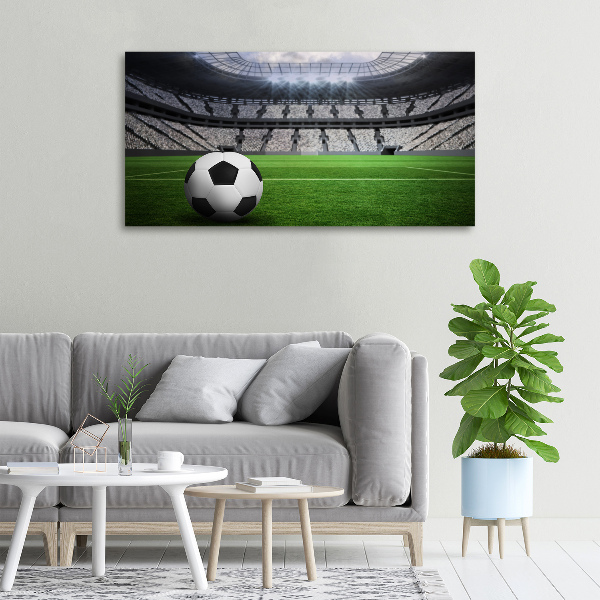 Canvas wall art Ball at the stadium