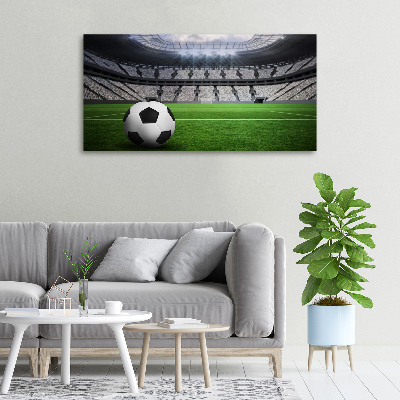 Canvas wall art Ball at the stadium