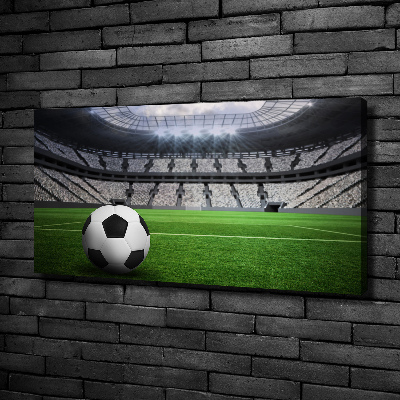 Canvas wall art Ball at the stadium