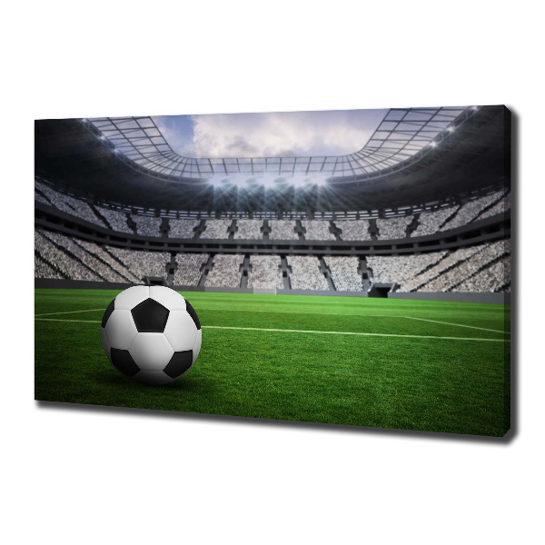 Canvas wall art Ball at the stadium