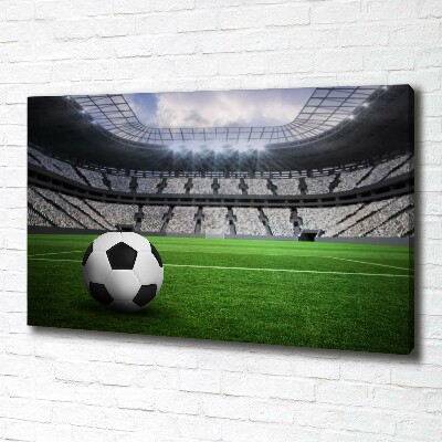 Canvas wall art Ball at the stadium