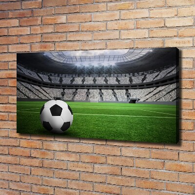 Canvas wall art Ball at the stadium