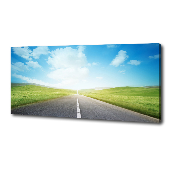 Canvas wall art Road through the meadow