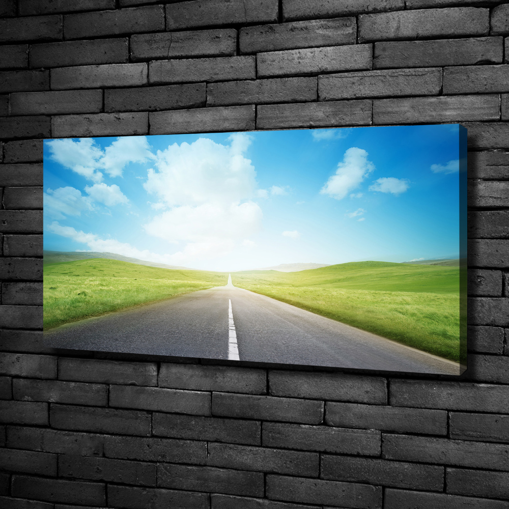 Canvas wall art Road through the meadow