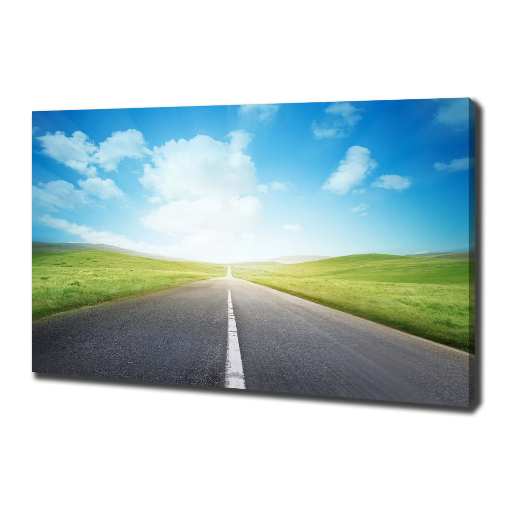 Canvas wall art Road through the meadow