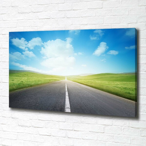 Canvas wall art Road through the meadow