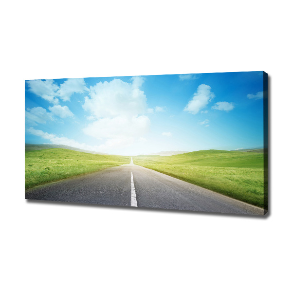 Canvas wall art Road through the meadow