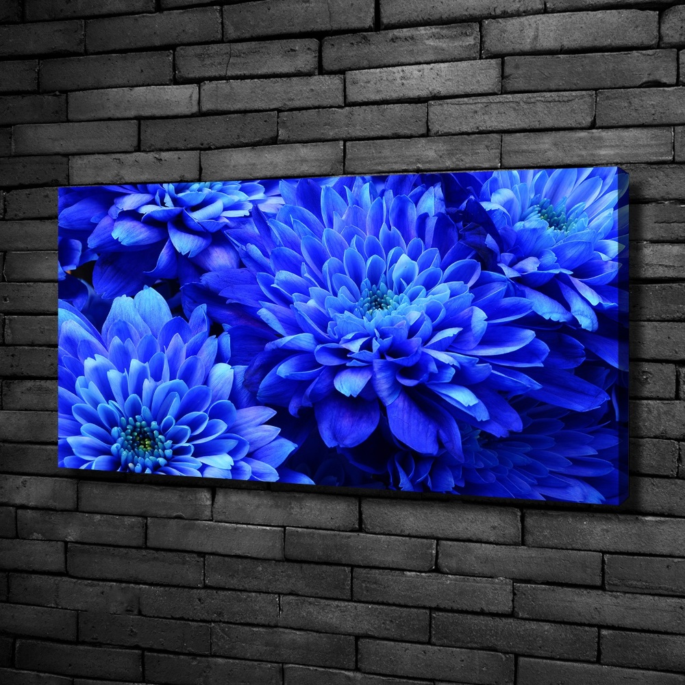 Canvas wall art Blue aster