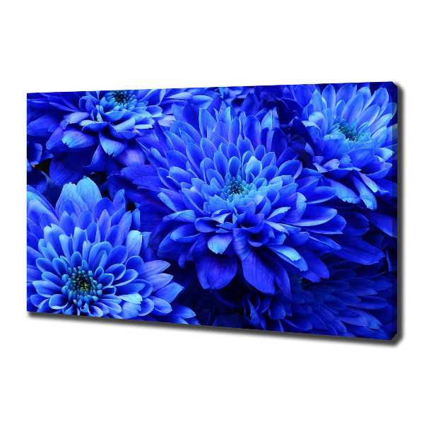 Canvas wall art Blue aster