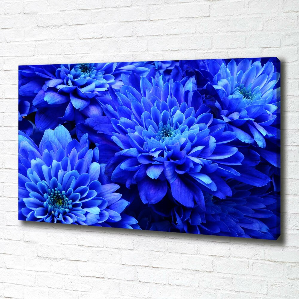 Canvas wall art Blue aster