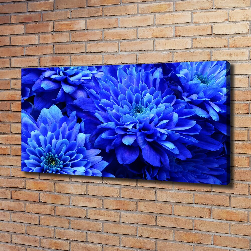 Canvas wall art Blue aster