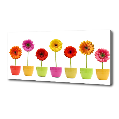 Canvas wall art Colorful gerberas