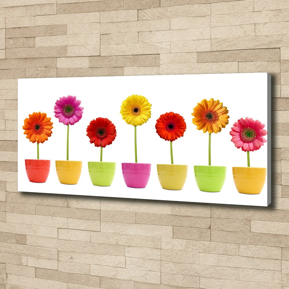 Canvas wall art Colorful gerberas