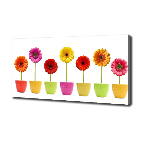 Canvas wall art Colorful gerberas