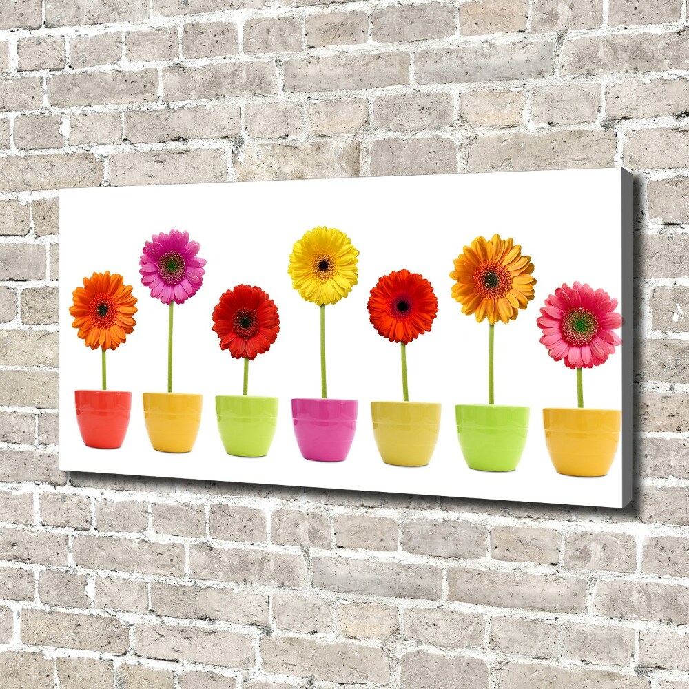 Canvas wall art Colorful gerberas